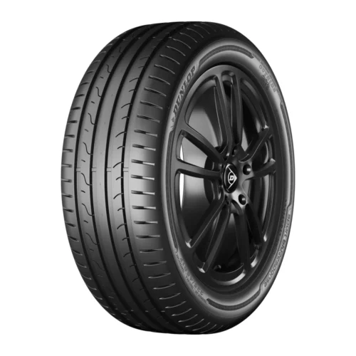 Pneu Dunlop Sport BluResponse 205/50R17 89H